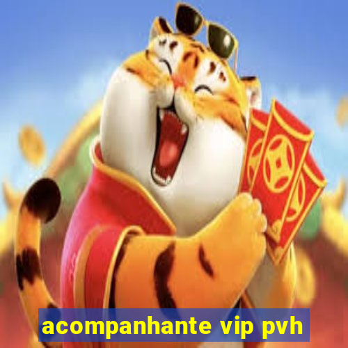 acompanhante vip pvh